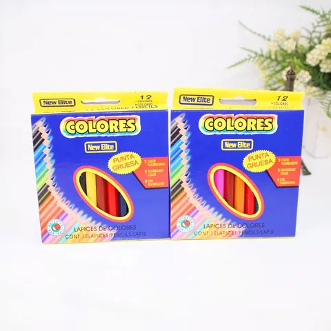 Lápices de Colores de Madera con Flores Elegantes Tamaño Mini Dibujo Suave Juego de Lápices de Arte Papelería
