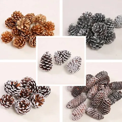 Natural Dried Pine Cones DIY Material Package For Christmas Decoration Photography Props Rustic Scene Layout Handcraft Gold Silver White Pine Nuts