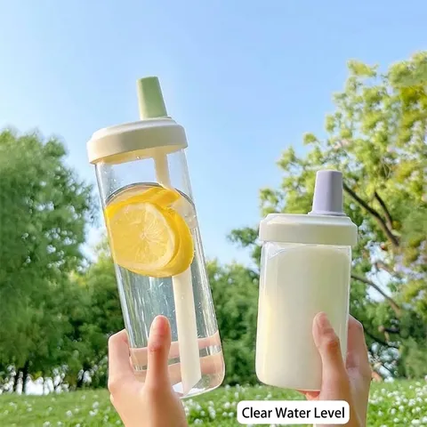 Ins Style Large Capacity Portable Plastic Water Bottle With Straw Leak-proof Cold Brew Fruit Juice Cup For Students Home Office