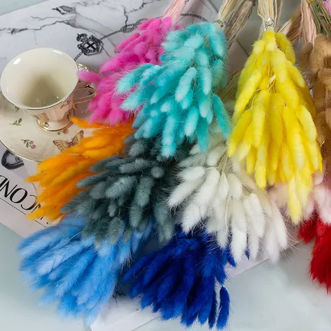 Bouquet di Erba Coda di Coniglio Essiccata Naturale Fiori Secchi di Pianta Vera per Decorazioni per la Casa Esposizione di Finestre Accessori per Fotografia