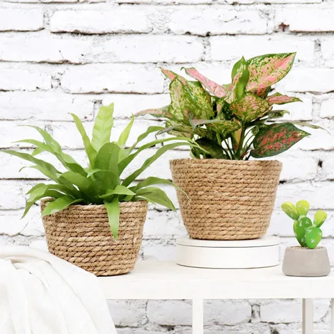 Handgewebter Stroh Blumenkorb Nordische Blumentopfhülle Mit Wasserdichtem Futter Garten Aufbewahrungskorb Heimdekoration