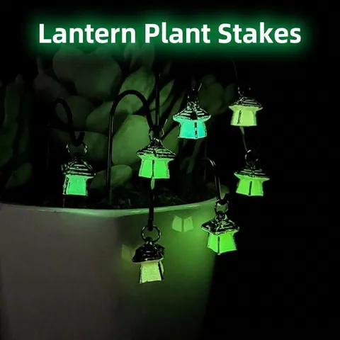 Miniature Lanterne Lumineuse Micro Paysage Résine Ornement Luminescent Plante Grasse Décor Accessoire Artisanal