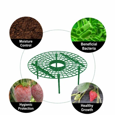 Green Plastic Strawberry Support Stand Plant Fruit Protection Holder Anti Lodging Rack Gardening Supplies