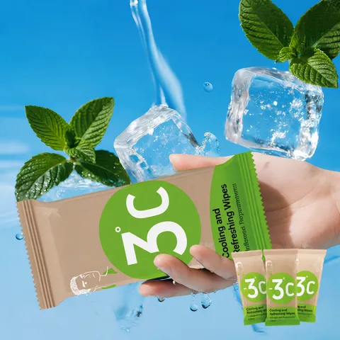 Portable Instant Cooling Wet Wipes Refreshing Ice Sweat Wiping Towel For Outdoor Sports And Summer Travel