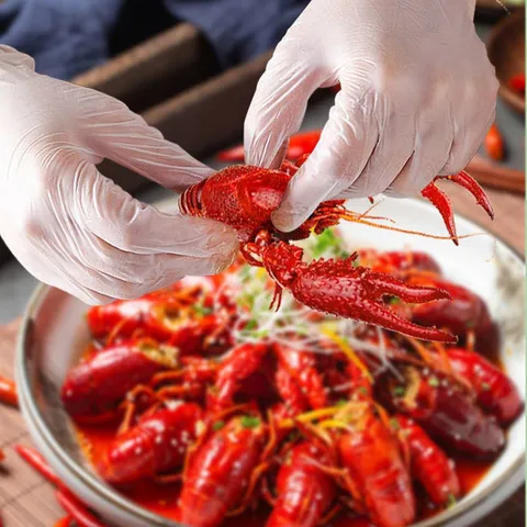 Gants Jetables en TPE Qualité Alimentaire Boîte Emballé Transparent Épaissi Imperméable Résistant à l'Huile Cuisine Maison
