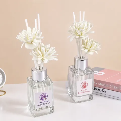 Minimalist Glass Bottle Reed Diffuser Set Home Aromatherapy Fragrance With Sola Flower For Bedroom Living Room Decor