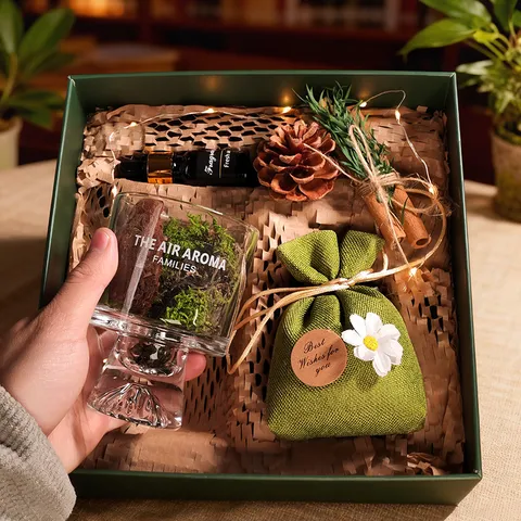Pinien Moos Aromatherapie Geschenkkarton Set Raumdiffusor Glasflasche Ätherisches Öl Heimduft Deko Geschenk