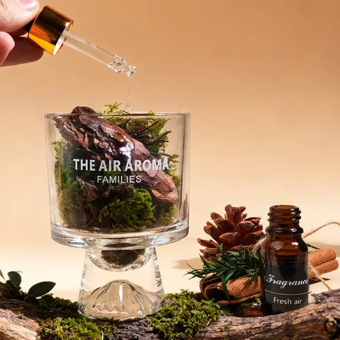 Pinien Moos Aromatherapie Geschenkkarton Set Raumdiffusor Glasflasche Ätherisches Öl Heimduft Deko Geschenk