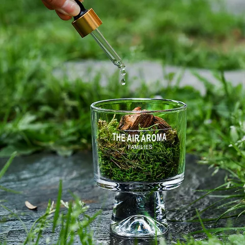 Glas Aromatherapie Diffuser Beker Met Vurenemos Natuurlijke Essentiële Olie Bosstijl Huisgeur Ornament