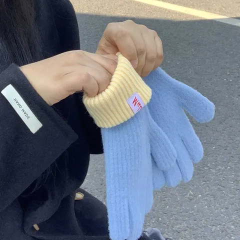Women Winter Warm Touch Screen Fingered Gloves Imitation Cashmere Colorblock Knitted Gloves Daily Wear