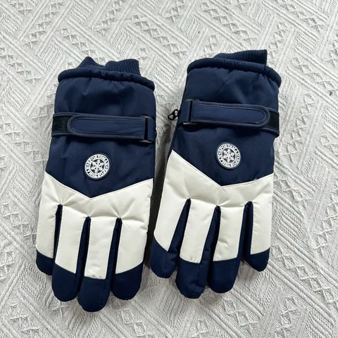 Winter Thermal Ski Gloves Waterproof Windproof Touchscreen Snow Gloves For Men And Women Cold Weather Outdoor Sports