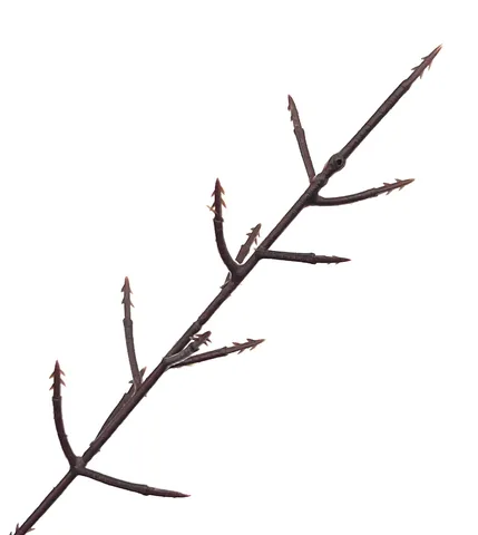 Künstlicher Stechpalmenbeeren Fruchtgabel Zweig 12 Köpfe Kunststoffstiel Für DIY Weihnachten Handwerk Heimdekoration Hochzeit Party Blumenschmuck Zubehör