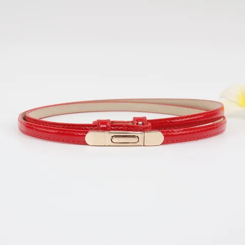 Dames Dunne PU Lederen Riem Minimalistische Casual Jurk Jas Tailleband Goudkleurige Metalen Gesp Elegante Mode Accessoires