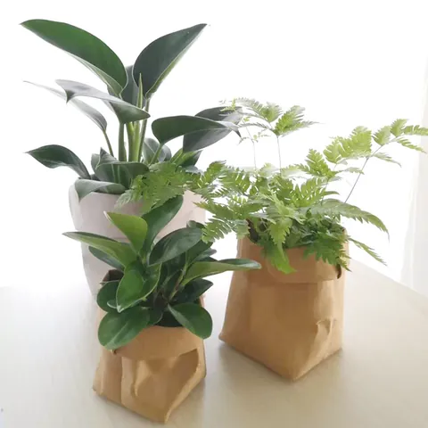 Waschbarer Kraftpapier Aufbewahrungsbeutel Wiederverwendbar Umweltfreundlich Schreibtisch Organizer Nordischer Stil Blumentopf Hülle Faltbar Langlebig