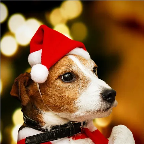 Plush Pet Christmas Hat For Dogs And Cats Red White Santa Hat With Adjustable Elastic Strap Soft Holiday Costume Accessories