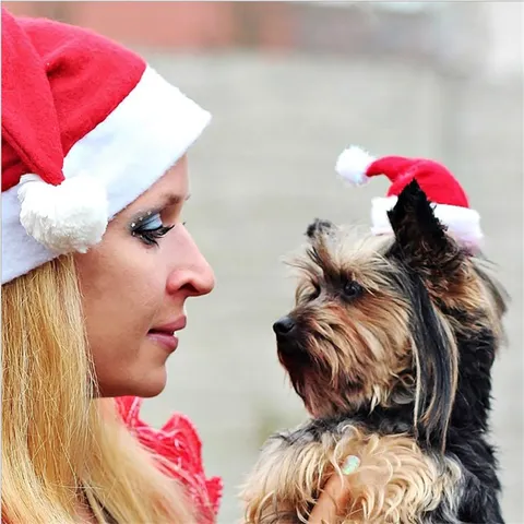 Plush Pet Christmas Hat For Dogs And Cats Red White Santa Hat With Adjustable Elastic Strap Soft Holiday Costume Accessories