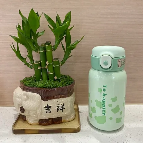 Botella de Agua Térmica de Acero Inoxidable 316 para Niños Taza con Pajita Portátil Dibujos Animados Estilo Fresco