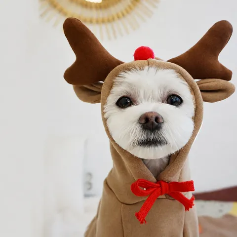 Animal de Compagnie Noël Élan Sweat-shirt à Capuche Chaud Polaire Vêtements pour Chiens Petits Moyens Chiens Vêtements d'Hiver Chiot Tenue Costume