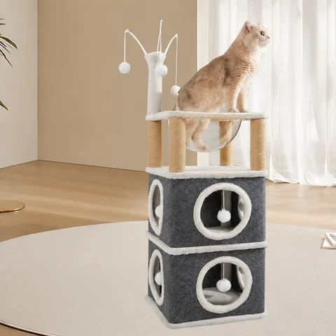 Cadre d'Escalade pour Chats Multi-Couches Maison pour Chats Carrée Avec Capsule Spatiale Transparente Poteau en Sisal Arbre à Chat Chaud Fournitures pour Animaux