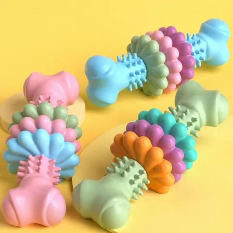 Jouet à Mâcher pour Chien Jouet Molaire TPR Forme d'Os et Tranches Conçu pour le Nettoyage des Dents et Jeu Interactif