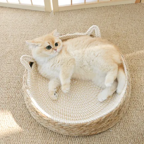 Lit pour Chat en Rotin Tissé à Main Nid pour Animal de Compagnie en Herbe Naturelle pour Chats d'Intérieur Toutes Saisons Universel