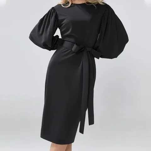 Women's Plus Size Solid Color Long Sleeve A-Line Midi Dress Elegant Commuter Tie-Belt Crew Neck Casual Dress Black