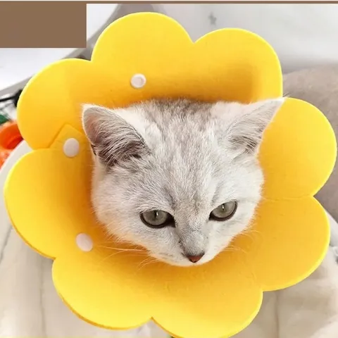 Sunflower Pet Elizabeth Collar Adjustable Soft Protective Recovery Neck Cone For Cats Small Dogs Anti Licking Wound Healing Neck Collar Felt Material