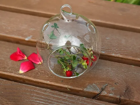 Clear Glass Terrarium Hanging Globals Planter Vase Flat Bottom Open Double Hole Ball For Air Plants Succulents Home Decor