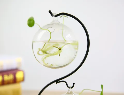 Europese Stijl Hangende Glazen Vaas Hydrocultuur Plant Terrarium Met Ijzeren Standhouder Transparante Bureau Bloempot Huisdecoratie