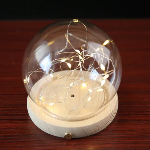 Dôme en Verre Avec Guirlande Lumineuse LED en Fil de Cuivre Base en Bois Interrupteur Tactile Présentoir de Fleurs Préservées Décoration Maison