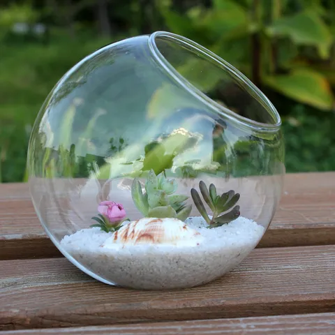Transparent Round Oblique Mouth Glass Vase Hydroponic Planter Micro Landscape Bottle Terrarium Home Decor Craft