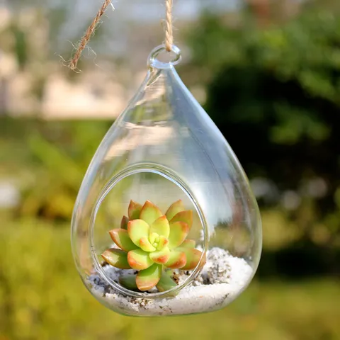 Hanging Glass Vase Clear Borosilicate Glass Conical Plant Terrarium Pastoral Home Decor Hanging Planter For Indoor