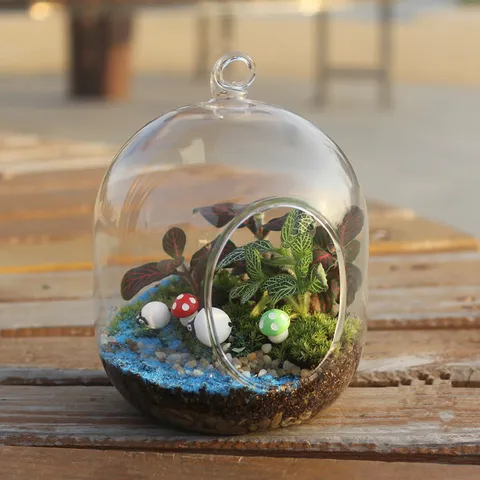 Held resetButton Glas Micro Landschap Terrarium Vaas Creatieve Open Kleine Plantencontainer Vetplant Pot Kantoor Huisdecoratie