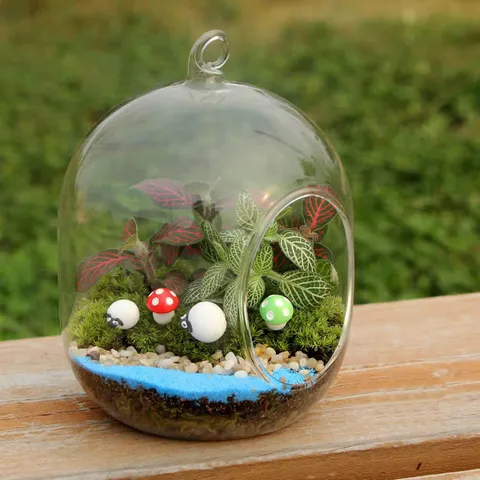 Held resetButton Glas Micro Landschap Terrarium Vaas Creatieve Open Kleine Plantencontainer Vetplant Pot Kantoor Huisdecoratie