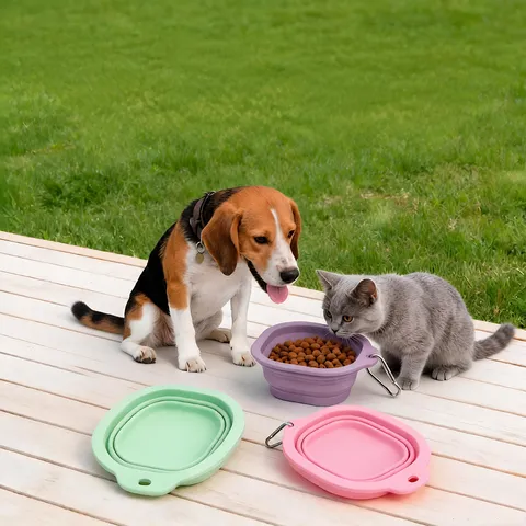 Ciotola Pieghevole Portatile in Silicone per Animali Domestici Ciotola per Cani da Esterno con Moschettone