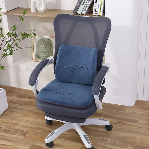 Ensemble Coussin de Chaise Ergonomique et Coussin Lombaire Doux Chenille Épais Antidérapant Housse de Siège de Bureau Décoration Maison