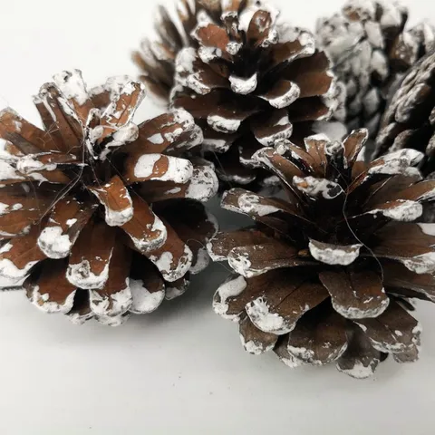 Christmas Tree Frosted Pinecone Ornaments Snow Sprayed Pine Cone Hanging Pendants For Holiday Winter Home Party Decorations