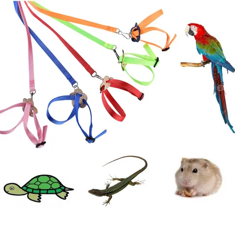 Set Pettorina E Guinzaglio Per Piccoli Animali Guinzaglio In Nylon Regolabile Forma 8 Per Pappagallo Criceto Lucertola Tartaruga Articoli Da Passeggio