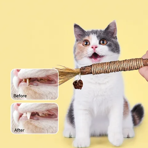 Natural Silvervine Molar Chew Toy For Cats With Raffia And Gall Fruit Teeth Cleaning Interactive Pet Toy