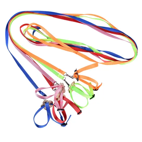 Set Pettorina E Guinzaglio Per Piccoli Animali Guinzaglio In Nylon Regolabile Forma 8 Per Pappagallo Criceto Lucertola Tartaruga Articoli Da Passeggio
