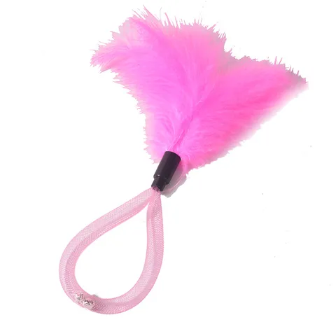 Giocattolo per Gatti in Piuma Bacchetta Interattiva per Gattini con Campanello Tubo a Rete Colorato Giocattolo per Animali Domestici