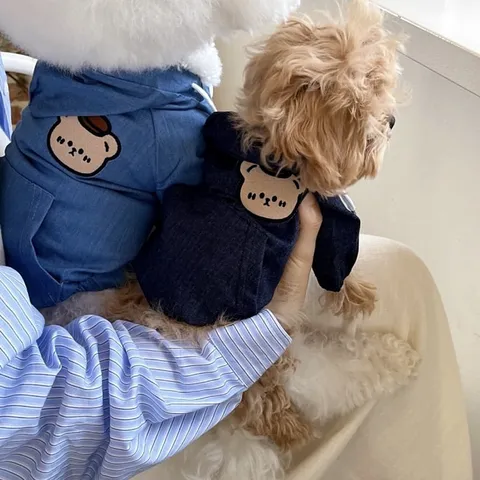 Chaqueta con Capucha de Denim para Mascota Lindo Oso Bordado Otoño Invierno Abrigo Cálido para Perros Pequeños y Gatos