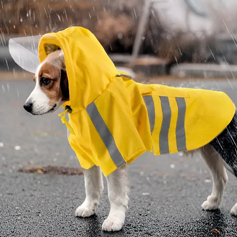 Wasserdichter Hunde Regenmantel Mit Reflektierenden Streifen Transparenter Krempe Kapuze Poncho Regenjacke Für Kleine Mittlere Grosse Hunde