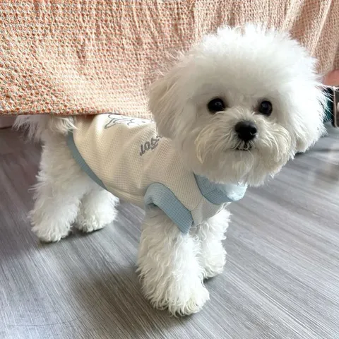 Petit Chien Été Gilet Fin Respirant Gaufre Maille Chiot Vêtements Mignon Chien Chemise Avec D-Anneau Laisse Vêtements Pour Animaux