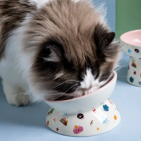Ceramic Elevated Cat Bowl Cute Cartoon Pet Food Water Bowl Non Slip Neck Protection Feeder For Cats Kittens