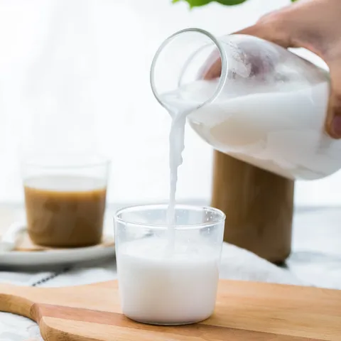 Ensemble Bouilloire et Tasse en Verre Résistant à la Chaleur Japonais Théière en Verre Borosilicaté Transparent Tasse à Lait