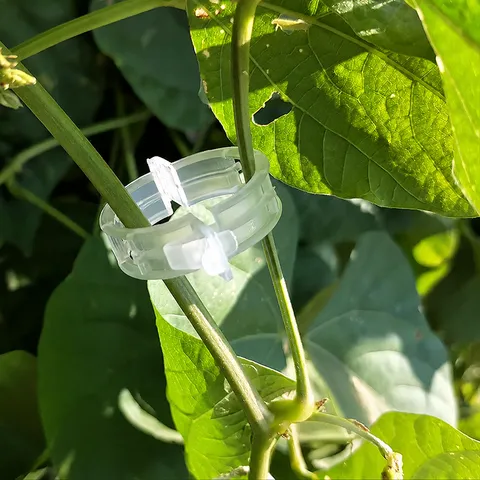 Transparent Plastic Plant Clips Support Clamps For Garden Vines Tomatoes Stems