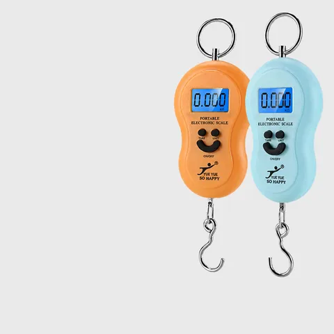 Pèse-Bagage Électronique Portable Balance Suspendue Numérique de Haute Précision Outil de Pesage de Voyage avec Pile