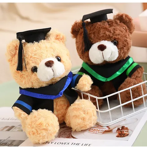 Abschluss Doktor Teddybär Plüschspielzeug Stofftier Akademische Uniform Bär Puppe Abschlussgeschenk