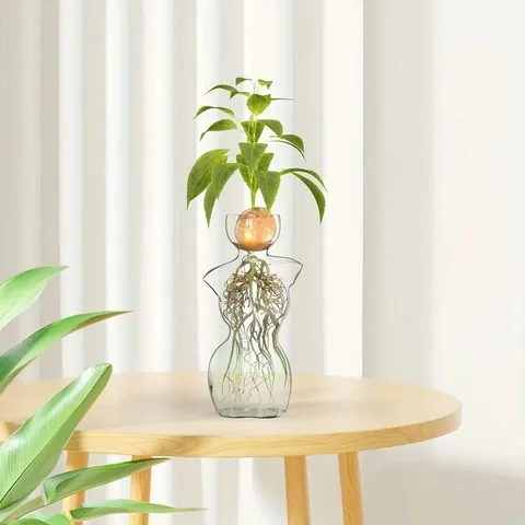 Japanischer Stil Menschlicher Körper Transparent Glas Hydrokultur Vase Kreative Avocado Sämling Behälter Heimdekoration